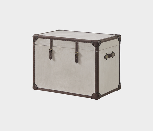 Denver Elegant Trunk - Cappuccino Suede - Vintage Style Refinement