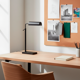Aston Adjustable Desk Lamp
