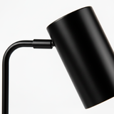 Lark Modern Adjustable Task Lamp