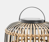 George Radiant Solar Lighting – Small