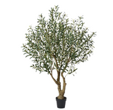 OLIVE TREE LARGE