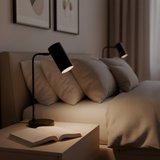 Lark Modern Adjustable Task Lamp